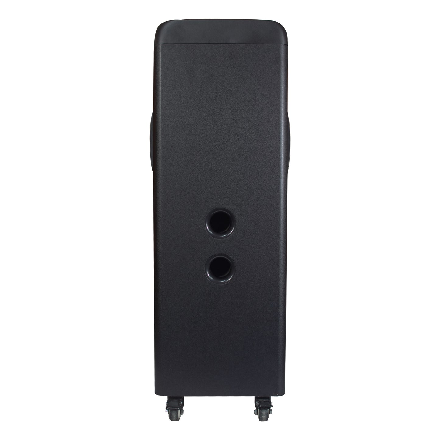 TorusFLEX - 2x 10" Portable Bluetooth® DJ Speaker