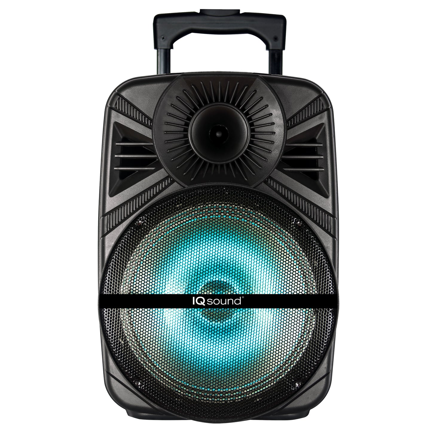 12” Portable Bluetooth® Speaker with True Wireless Technology