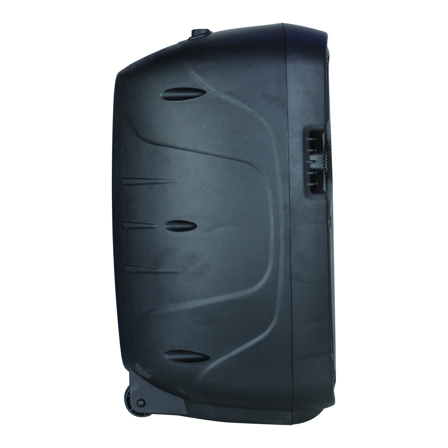 12” Portable Bluetooth® Speaker