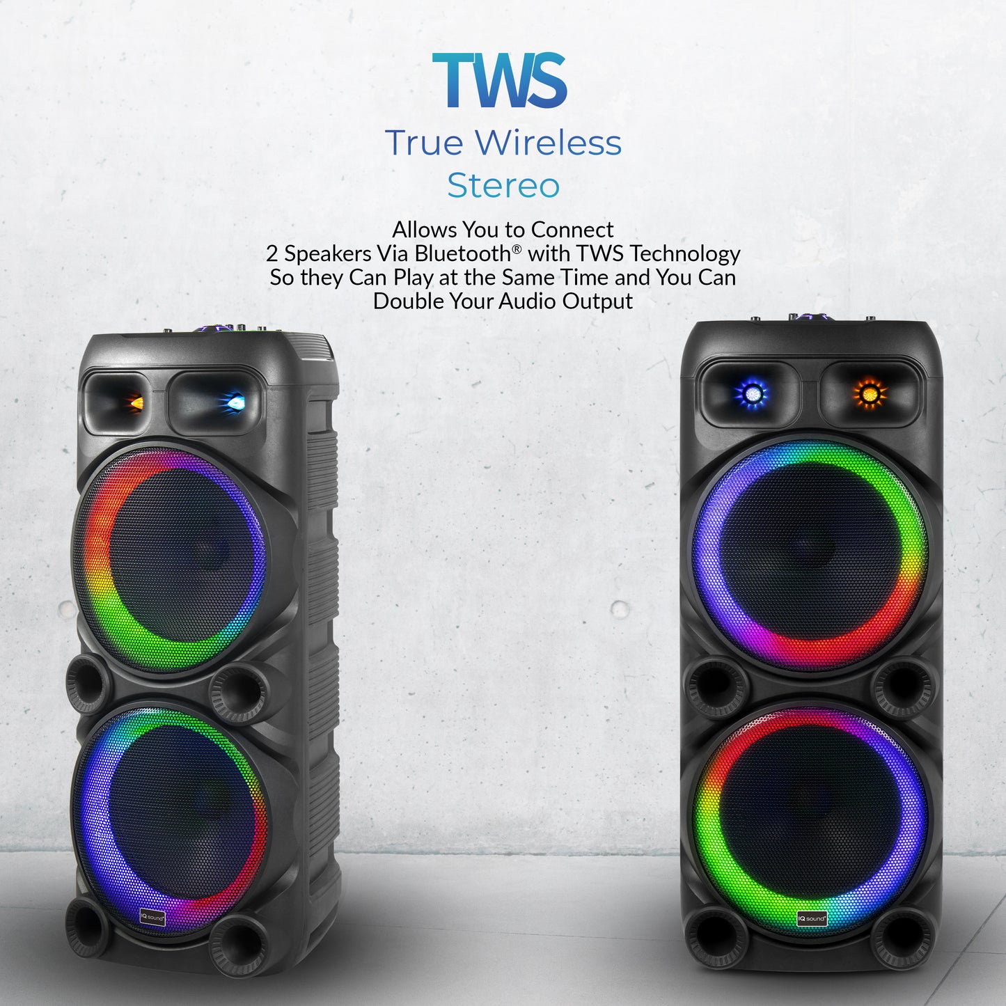 2x 12" Portable Bluetooth® Party Speaker