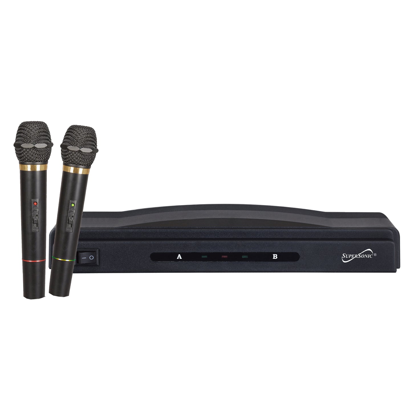Professional Dual Wireless Microphone System