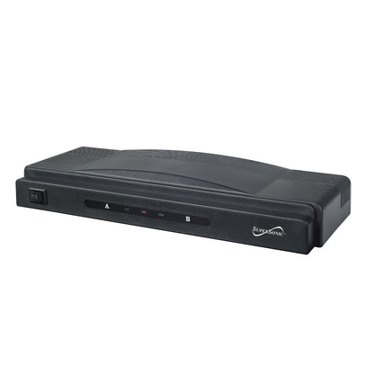 Professional Dual Wireless Microphone System