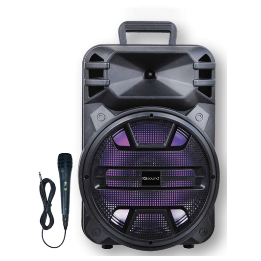 12” Professional PA/DJ Loudspeaker with True Wireless & Bluetooth