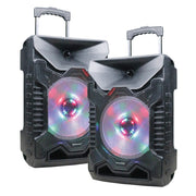 Dual12” Speakers With True Wireless Technology