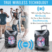 Dual12” Speakers With True Wireless Technology