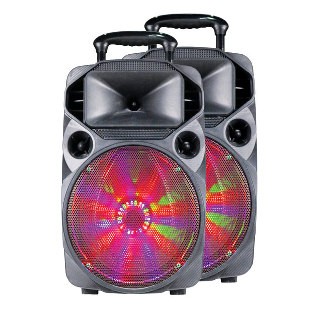 Dual15” Speakers With True Wireless Technology