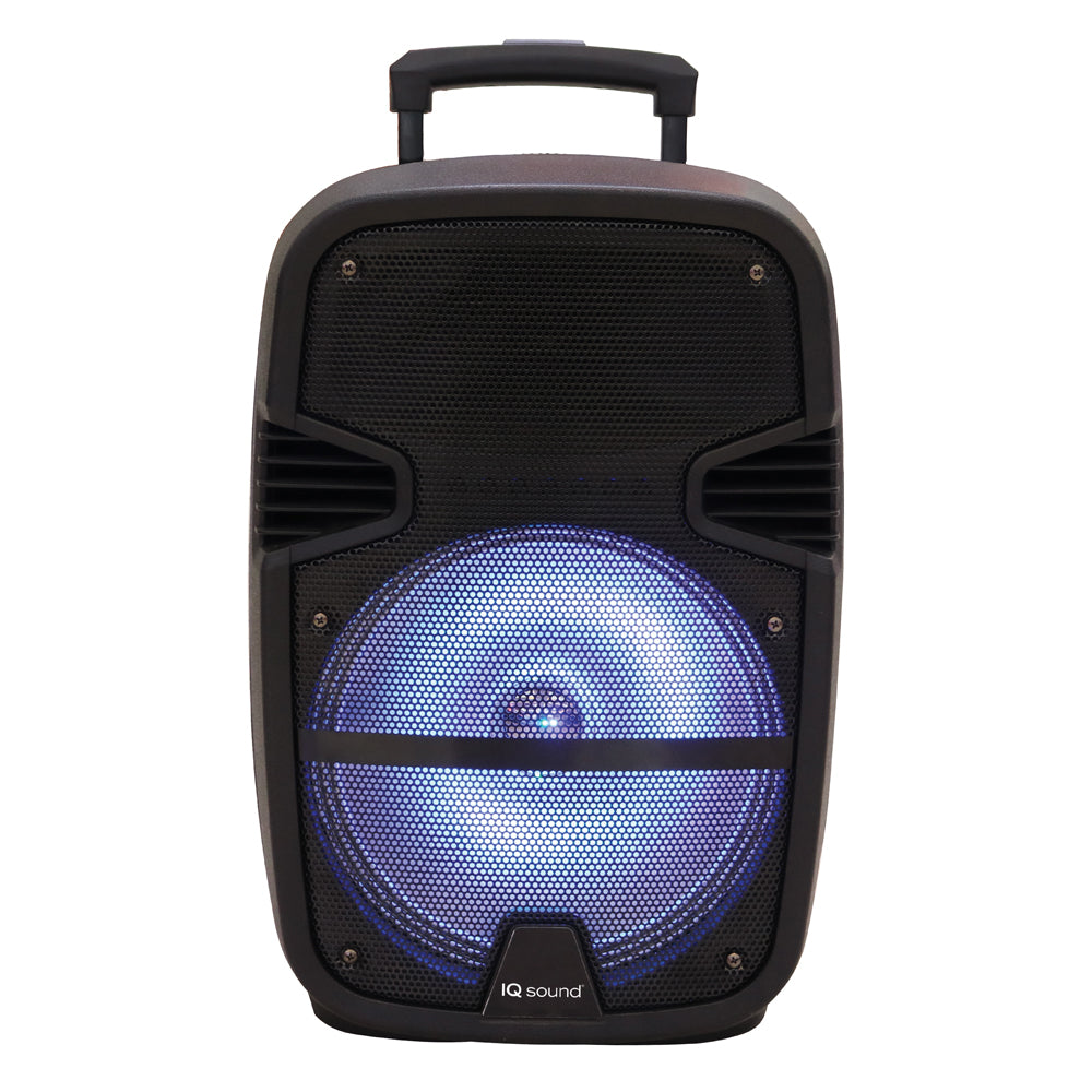 15” Professional Bluetooth Speaker