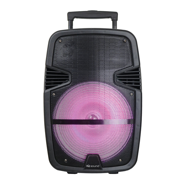 12” Professional Bluetooth Speaker