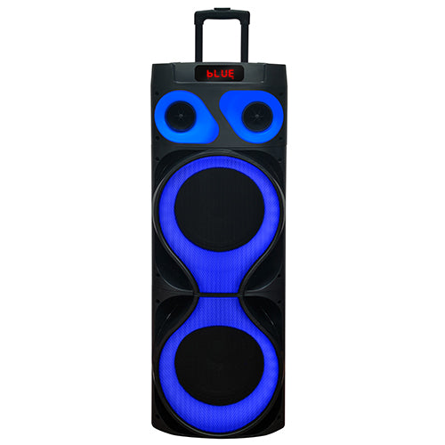 2 x 12” Pro DJ Party Speaker with TWS