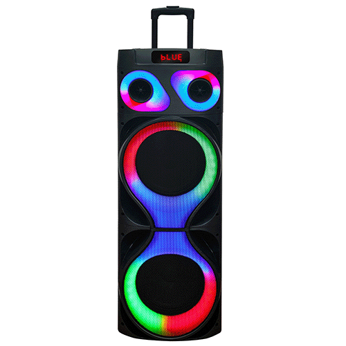2 x 12” Pro DJ Party Speaker with TWS Supersonic Inc