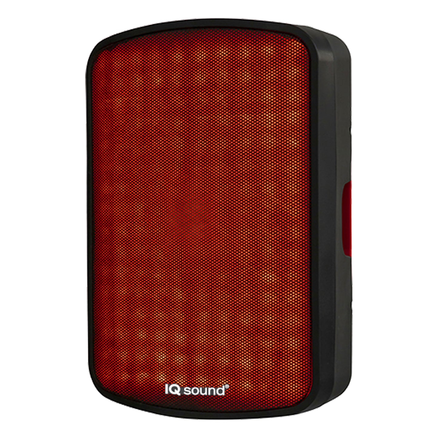 15” Portable Bluetooth Speaker With TWS