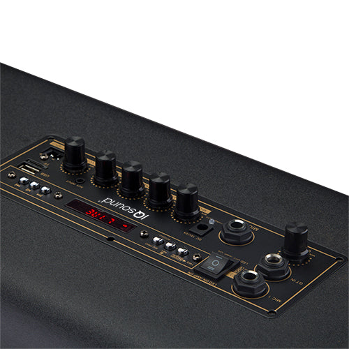 Portable PA System Karaoke Speaker
