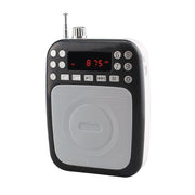 BT Portable PA System