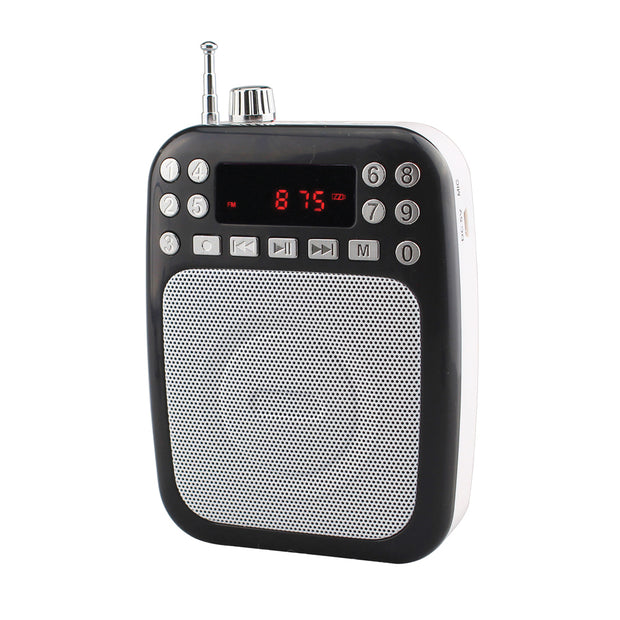 BT Portable PA System