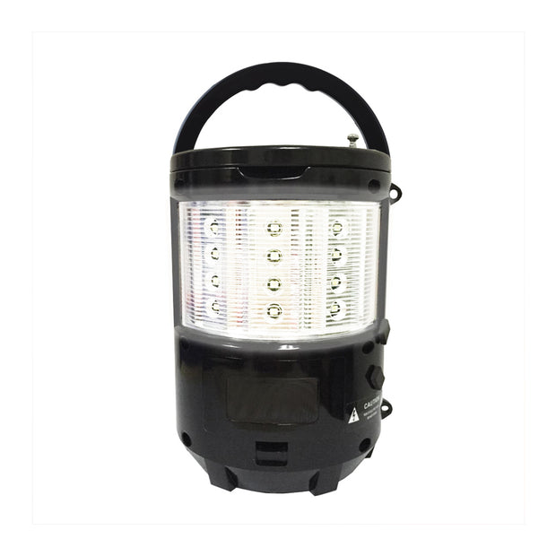 Portable Bluetooth FM Radio