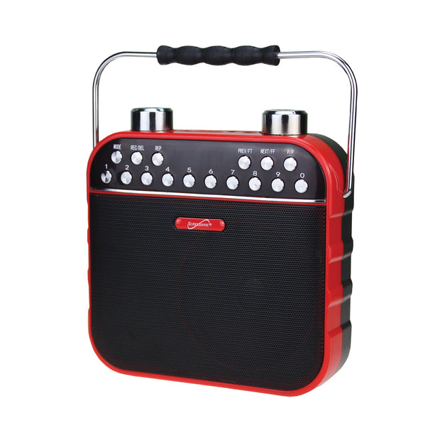 Bluetooth® Portable PA System