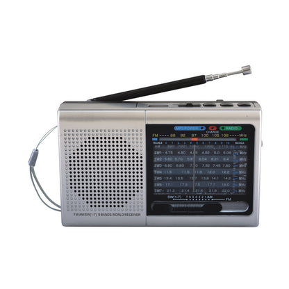 9 Band Radio With Bluetooth