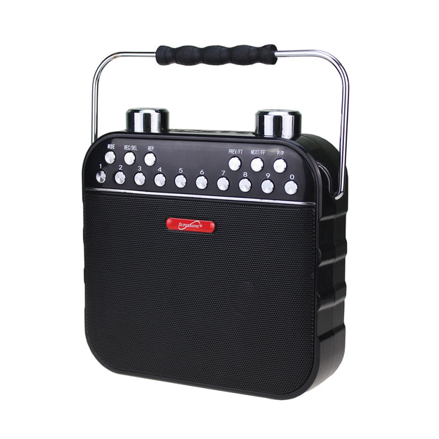 Bluetooth® Portable PA System
