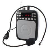 BT Portable PA System