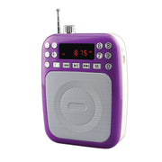 BT Portable PA System