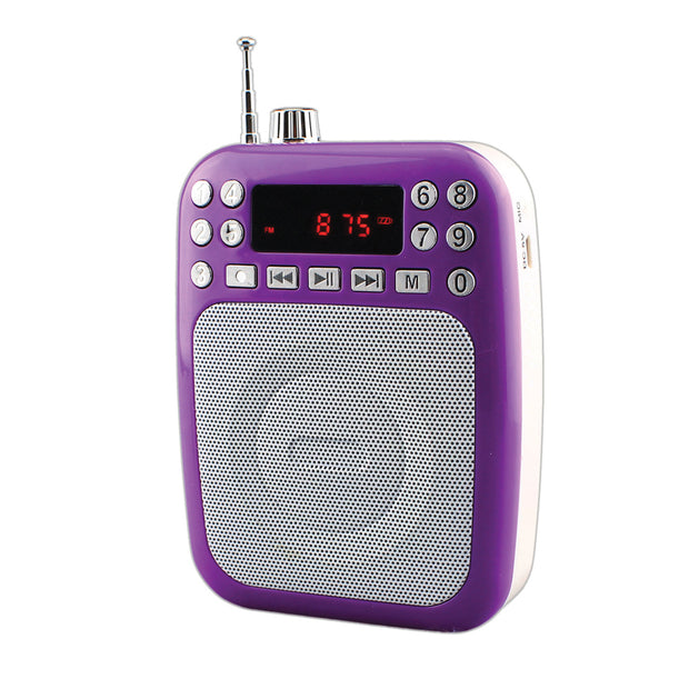 BT Portable PA System