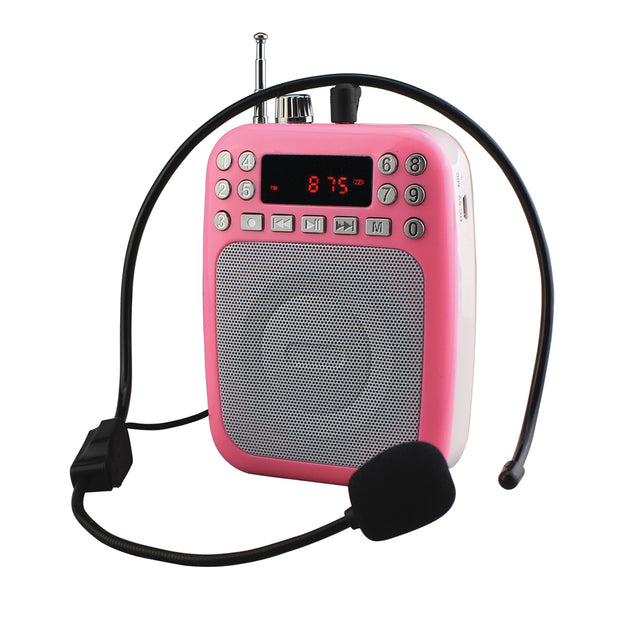 BT Portable PA System