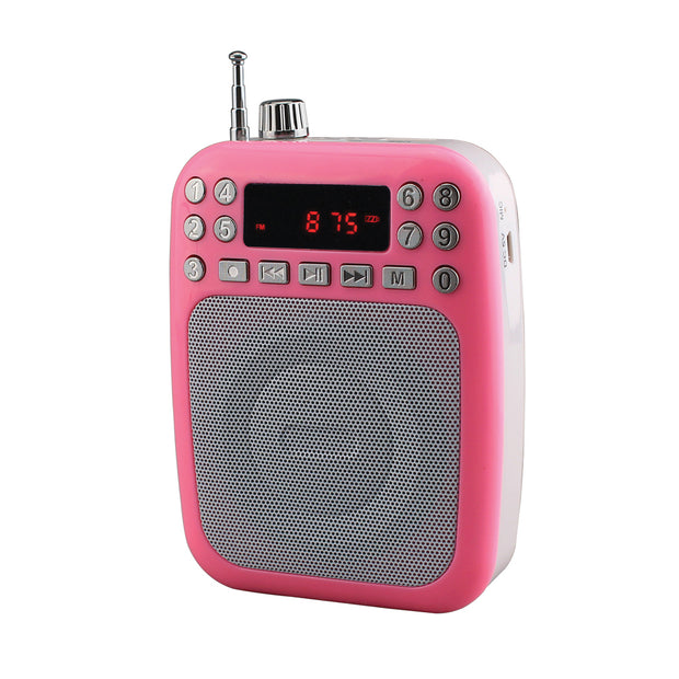 BT Portable PA System