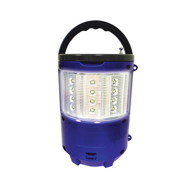 Portable Bluetooth FM Radio