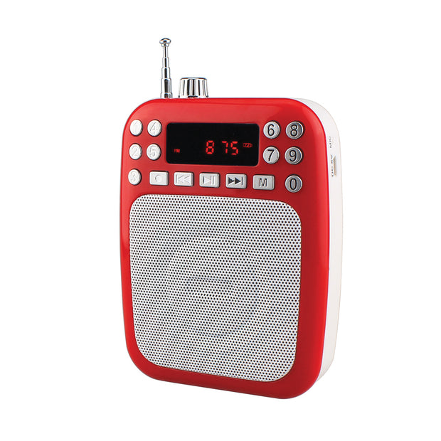 BT Portable PA System